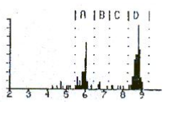 RAD7連續(xù)測氡儀說明書-6