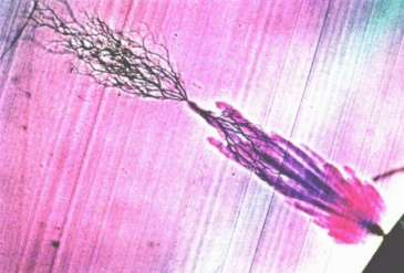 HVA45TD,<a href='http://m.coblite.com.cn/Ppzq/b2.html'>B2HV</a>