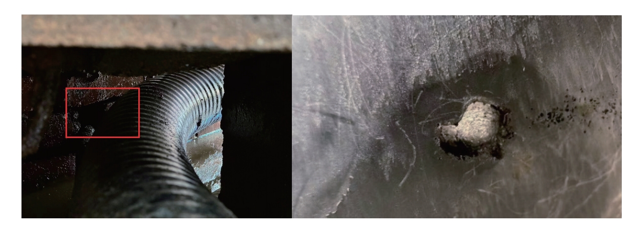 解剖確認外護套破損情況 解剖確認外護套破損情況