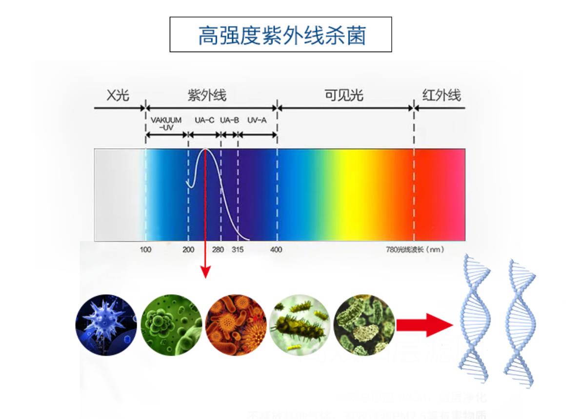 微信截圖_20221031162324.jpg