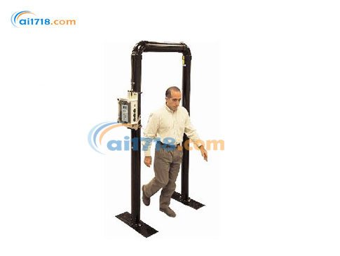 TPM-903B可移動(dòng)門式輻射監(jiān)測(cè)儀