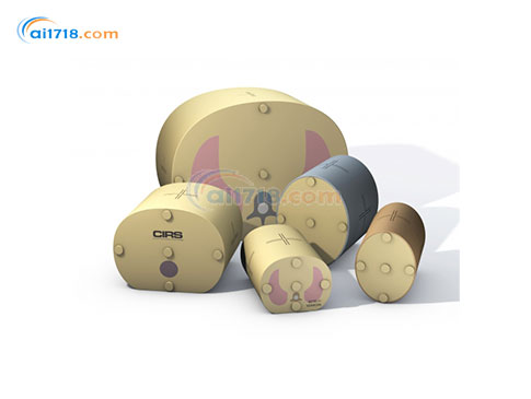 007TE-16組織等效胸腔CT劑量假體-矮個(gè)成人