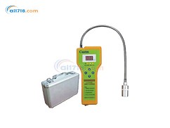 2100H可燃?xì)怏w檢測(cè)儀